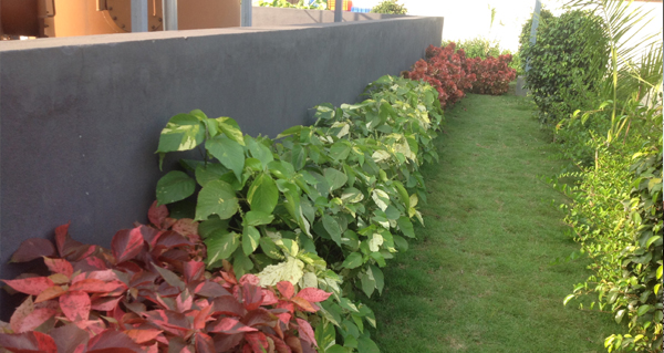 chennai landscape, chennai landscaping, chennai landscape designers, chennai garden maintenance, chennai garden management, chennai terrace gardens,